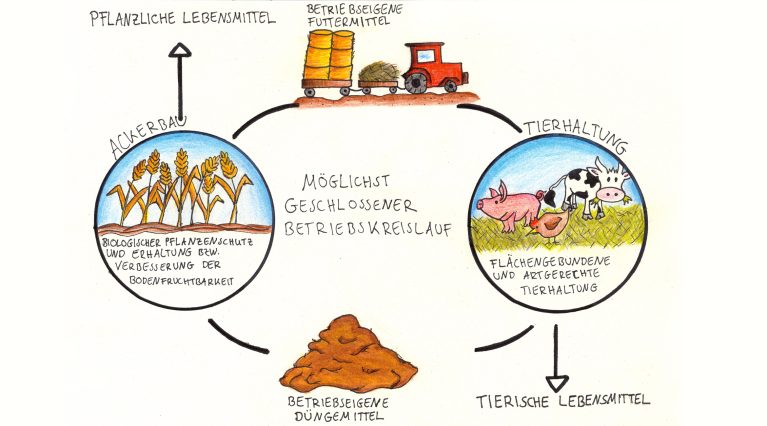 Biologische Schädlingsbekämpfung: Vorteile und Nachteile im Überblick