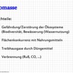 Biomasse: Vorteile und Nachteile für eine nachhaltige Energiezukunft