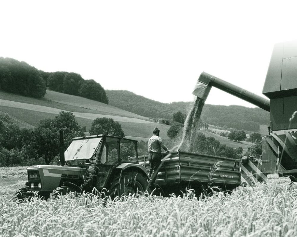 Die Vor- und Nachteile der konventionellen Landwirtschaft: Eine umfassende Analyse