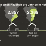 Die Vorteile und Nachteile einer Biogasanlage: Alles, was Sie wissen müssen