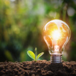 Die Vorteile und Nachteile erneuerbarer Energien: Eine umfassende Analyse