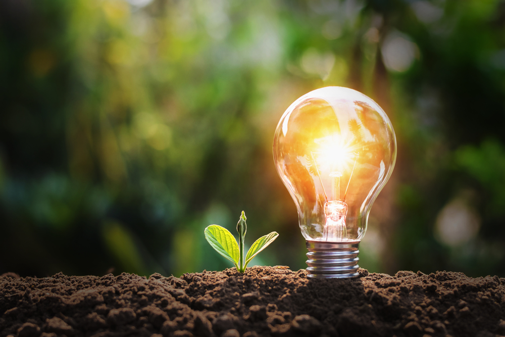 Die Vorteile und Nachteile erneuerbarer Energien: Eine umfassende Analyse