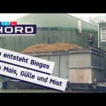 Die Vorteile und Nachteile von Biogasanlagen: Eine umfassende Analyse