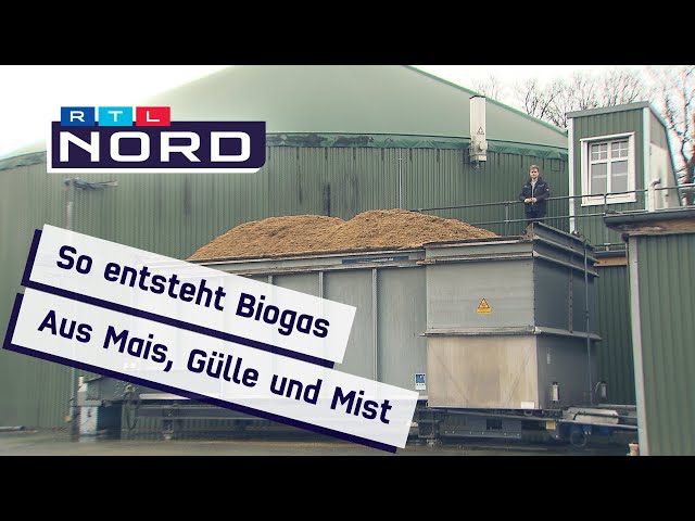 Die Vorteile und Nachteile von Biogasanlagen: Eine umfassende Analyse