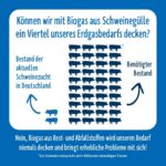 Die Vorteile und Nachteile von Biomasse: Eine umfassende Analyse