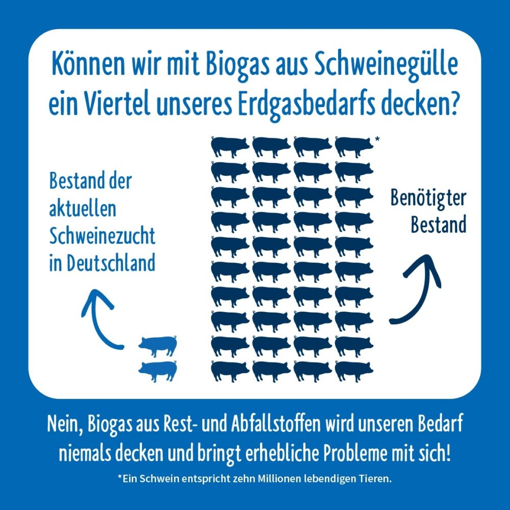Die Vorteile und Nachteile von Biomasse: Eine umfassende Analyse