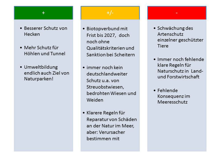 Furchenbewässerung: Vorteile und Nachteile im Überblick