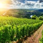 Kernenergie: Vorteile und Nachteile im Detail