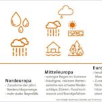 Ökologische Landwirtschaft: Vorteile und Nachteile im Überblick