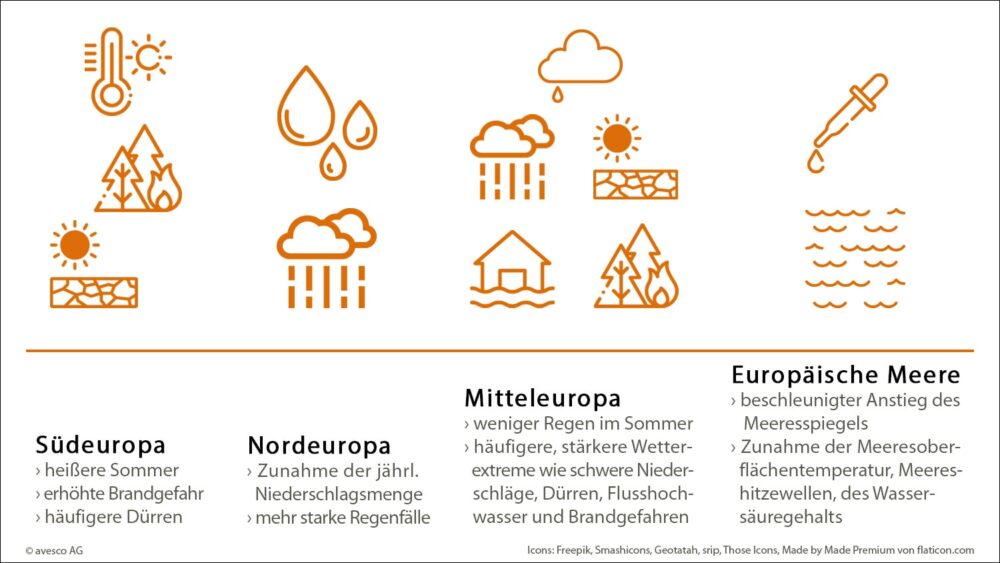 Ökologische Landwirtschaft: Vorteile und Nachteile im Überblick