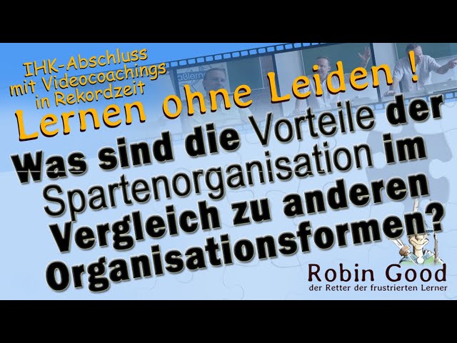 Spartenorganisation: Vorteile und Nachteile im Überblick 1 Spartenorganisation: Vorteile und Nachteile im Überblick