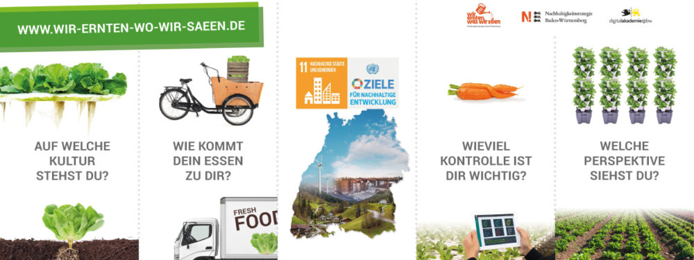 Urban Farming: Vorteile und Nachteile im Überblick