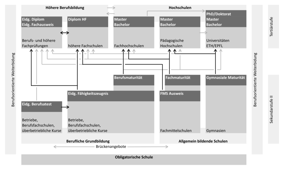 Welche Vorteile und Nachteile hat das duale System? Eine umfassende Analyse